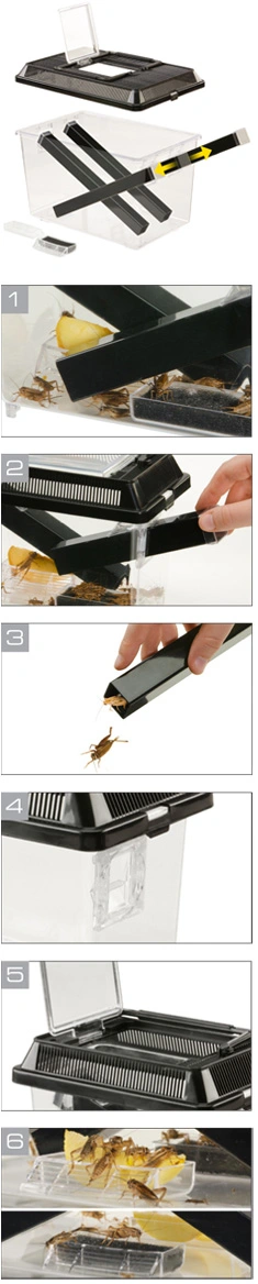 Exo Terra Cricket Pen stor
